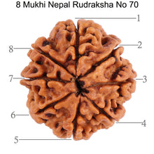 Load image into Gallery viewer, 8 Mukhi Nepalese Rudraksha - Bead No. 70