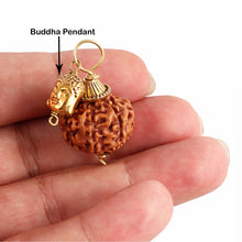 Load image into Gallery viewer, 7 Mukhi Rudraksha from Indonesia - Bead No. 13 (With Buddha Accessory)