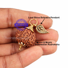 Load image into Gallery viewer, 8 Mukhi Rudraksha from Indonesia - Bead No. 181 (with Belpatra accessory)
