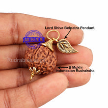 Load image into Gallery viewer, 8 Mukhi Rudraksha from Indonesia - Bead No. 181 (with Belpatra accessory)