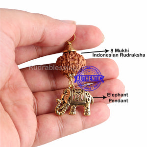 8 Mukhi Rudraksha from Indonesia - Bead No. 182 (with elephant accessory)