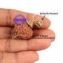 Load image into Gallery viewer, 8 Mukhi Rudraksha from Indonesia - Bead No. 187 (with butterfly accessory)