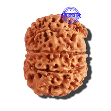 Load image into Gallery viewer, 8 Mukhi Nepalese Rudraksha - Bead No. 208