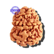 Load image into Gallery viewer, 8 Mukhi Nepalese Rudraksha - Bead No. 238