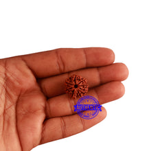 Load image into Gallery viewer, 8 Mukhi Nepalese Rudraksha - Bead No. 273