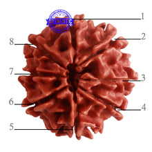 Load image into Gallery viewer, 8 Mukhi Nepalese Rudraksha - Bead No. 274