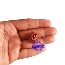 Load image into Gallery viewer, 8 Mukhi Nepalese Rudraksha - Bead No. 275