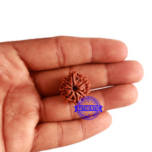 Load image into Gallery viewer, 8 Mukhi Nepalese Rudraksha - Bead No. 276