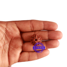 Load image into Gallery viewer, 8 Mukhi Nepalese Rudraksha - Bead No. 280