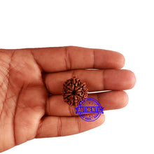 Load image into Gallery viewer, 8 Mukhi Nepalese Rudraksha - Bead No. 284