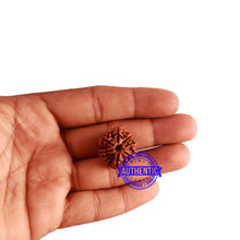 Load image into Gallery viewer, 8 Mukhi Nepalese Rudraksha - Bead No. 285