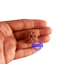Load image into Gallery viewer, 8 Mukhi Nepalese Rudraksha - Bead No. 293