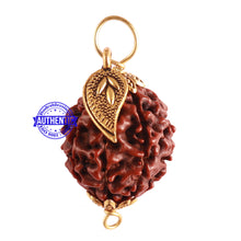 Load image into Gallery viewer, 8 Mukhi Hybrid Rudraksha - Bead No. 35 (with Belpatra accessory)