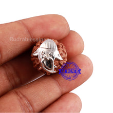 Load image into Gallery viewer, 8 Mukhi Indonesian Rudraksha Pendant in Pure Silver - 2