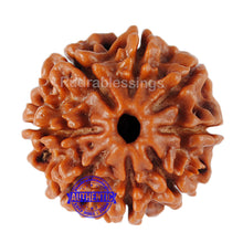 Load image into Gallery viewer, 8 Mukhi Nepalese Rudraksha - Bead No. 92
