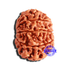 Load image into Gallery viewer, 8 Mukhi Nepalese Rudraksha - Bead No. 324