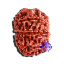 Load image into Gallery viewer, 8 Mukhi Nepalese Rudraksha - Bead No. 326