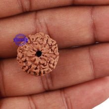 Load image into Gallery viewer, 9 Mukhi Rudraksha from Indonesia - Bead No. 210