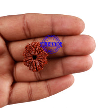 Load image into Gallery viewer, 9 Mukhi Nepalese Rudraksha - Bead No. 148