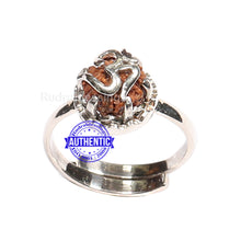 Load image into Gallery viewer, 9 Mukhi Indonesian Rudraksha Ring - 1