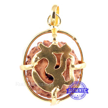 Load image into Gallery viewer, 9 Mukhi Rudraksha from Indonesia - Bead No. 184 (Gold Plated Bracket)

