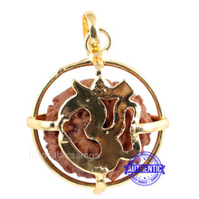 Load image into Gallery viewer, 9 Mukhi Rudraksha from Indonesia - Bead No. 190 (Gold Plated Bracket)