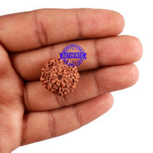 Load image into Gallery viewer, 9 Mukhi Rudraksha from Indonesia - Bead No. 37