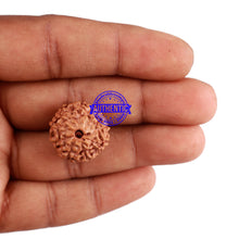 Load image into Gallery viewer, 9 Mukhi Rudraksha from Indonesia - Bead No. 40