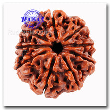 Load image into Gallery viewer, 9 Mukhi Nepalese Rudraksha - Bead No. 43