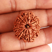 Load image into Gallery viewer, 9 Mukhi Nepalese Rudraksha - Bead No. 369