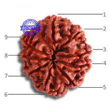 Load image into Gallery viewer, 9 Mukhi Nepalese Ganesh - Bead No. 384
