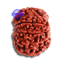 Load image into Gallery viewer, 9 Mukhi Nepalese Ganesh - Bead No. 384