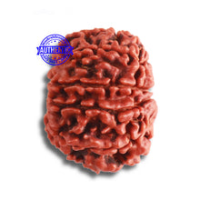 Load image into Gallery viewer, 9 Mukhi Nepalese Ganesh - Bead No. 384