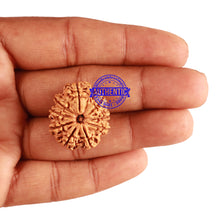 Load image into Gallery viewer, 9 Mukhi Nepalese Rudraksha - Bead No. 207