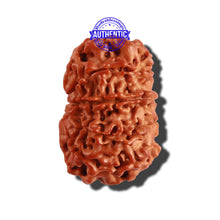 Load image into Gallery viewer, 9 Mukhi Nepalese Rudraksha - Bead No. 234