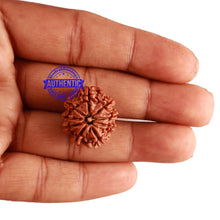 Load image into Gallery viewer, 9 Mukhi Nepalese Rudraksha - Bead No. 247