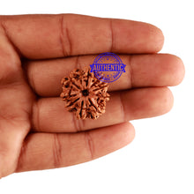 Load image into Gallery viewer, 9 Mukhi Nepalese Rudraksha - Bead No. 260