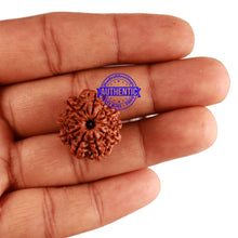 Load image into Gallery viewer, 9 Mukhi Nepalese Rudraksha - Bead No. 276
