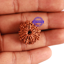 Load image into Gallery viewer, 9 Mukhi Nepalese Rudraksha - Bead No. 289