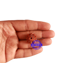 Load image into Gallery viewer, 9 Mukhi Nepalese Rudraksha - Bead No. 314