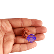 Load image into Gallery viewer, 9 Mukhi Nepalese Rudraksha - Bead No. 318