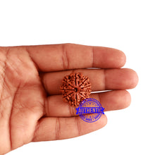 Load image into Gallery viewer, 9 Mukhi Nepalese Rudraksha - Bead No. 321