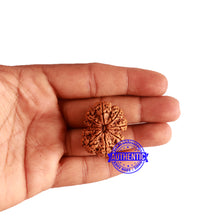 Load image into Gallery viewer, 9 Mukhi Nepalese rudraksha - Bead No. 324
