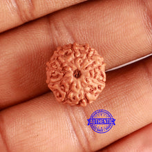 Load image into Gallery viewer, 9 Mukhi Rudraksha from Indonesia - Bead No. 112