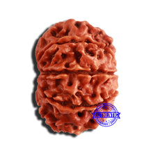 Load image into Gallery viewer, 9 Mukhi Nepalese Rudraksha - Bead No. 348