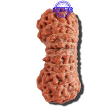 Load image into Gallery viewer, 22 Mukhi Rudraksha from Indonesia - Bead No U