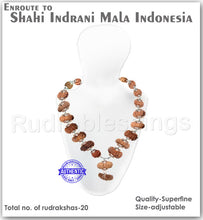 Load image into Gallery viewer, Enroute to Rudraksha Shahi Indrani Mala from Indonesia - 4