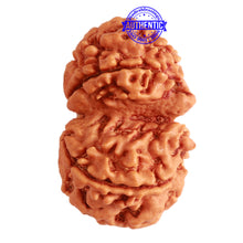 Load image into Gallery viewer, Gaurishanker Nepalese Rudraksha Bead No. - 207