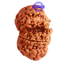 Load image into Gallery viewer, Gaurishanker Nepalese Rudraksha Bead No. - 211