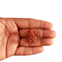 Load image into Gallery viewer, Gaurishanker Nepalese Rudraksha Bead No. - 195